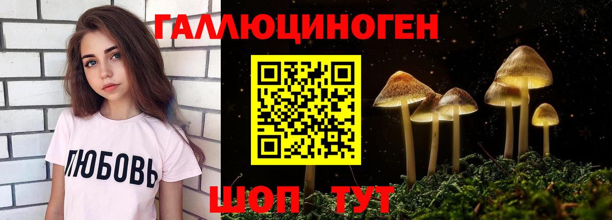 даркнет сайт  Вход с VPN  Бор  Галлюциногенные грибы GOLDEN TEACHER  Галлюциногенные грибы прущие грибы 